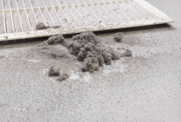 Best Air Vent Cleaning Services  in Grayvle, IL