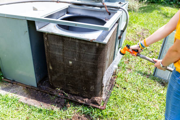 Best Home Air Vent Cleaning  in Grayvle, IL