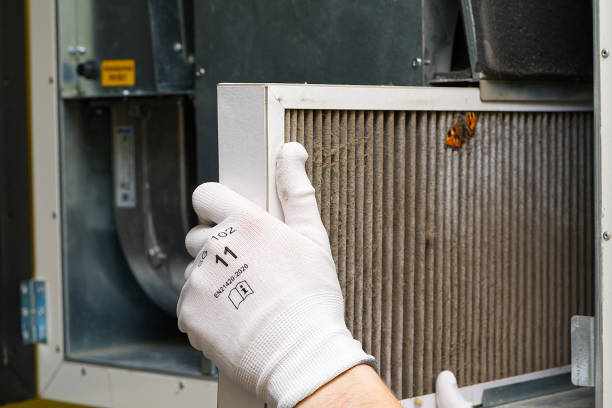 Best Emergency Air Duct Cleaning  in Grayvle, IL