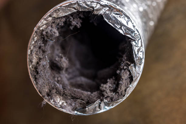 Best Residential Air Duct Cleaning  in Grayvle, IL