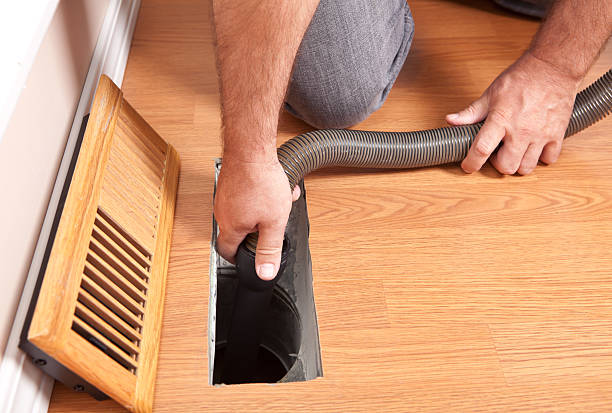 Best Dryer Vent Cleaning Services  in Grayvle, IL