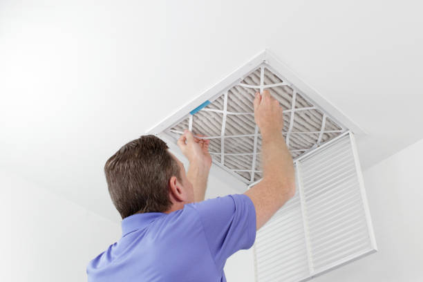 Best Ductwork Cleaning Services  in Grayvle, IL